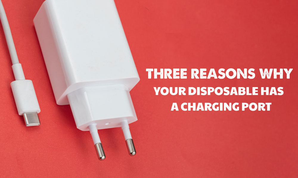 Why Your Disposable Vape Has a Charging Port | Got Vape